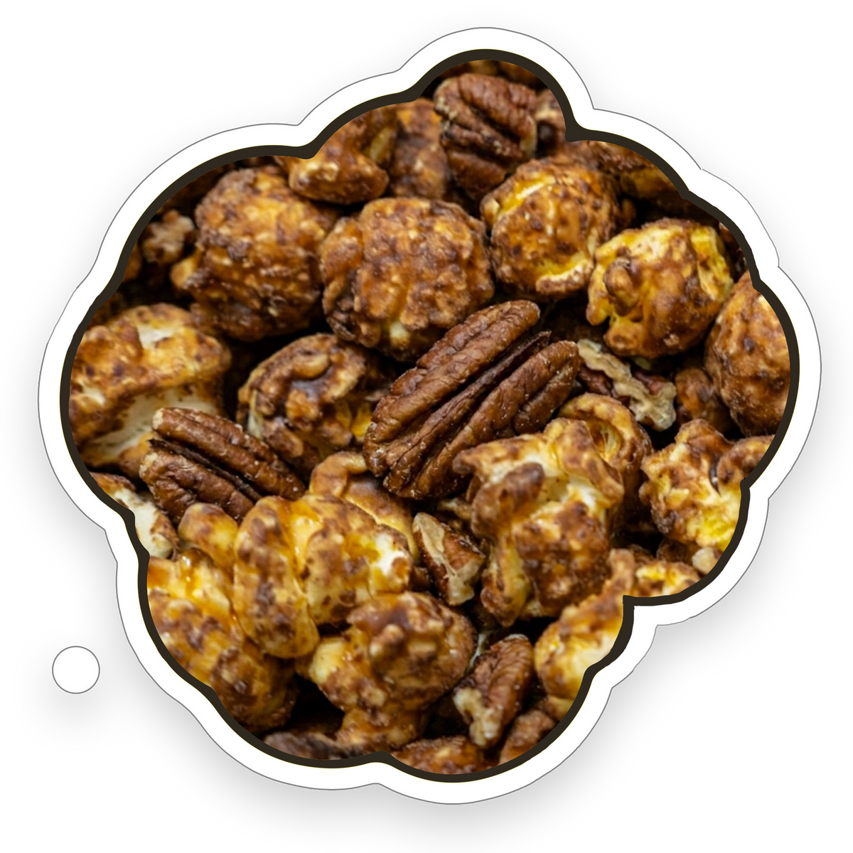 Fresh Pop'd Turtle Popcorn with caramel, milk chocolate, and buttery pecans